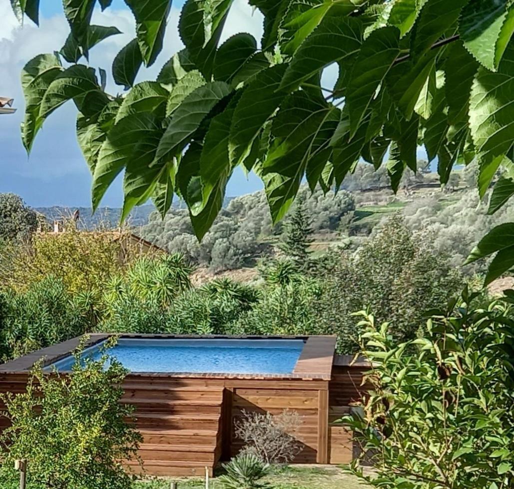 L'Alivu Villa Ajaccio  Dış mekan fotoğraf